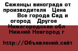 Саженцы винограда от производителя › Цена ­ 800 - Все города Сад и огород » Другое   . Нижегородская обл.,Нижний Новгород г.